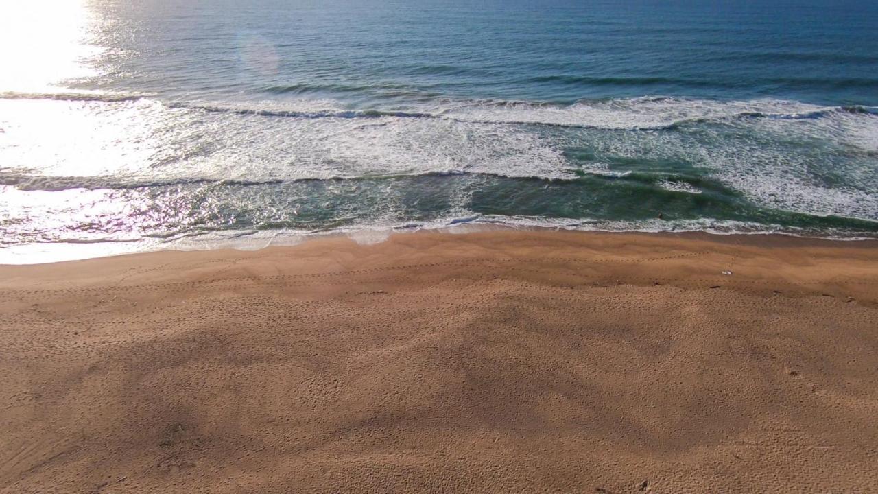 Surf Motel أومدلوتي المظهر الخارجي الصورة